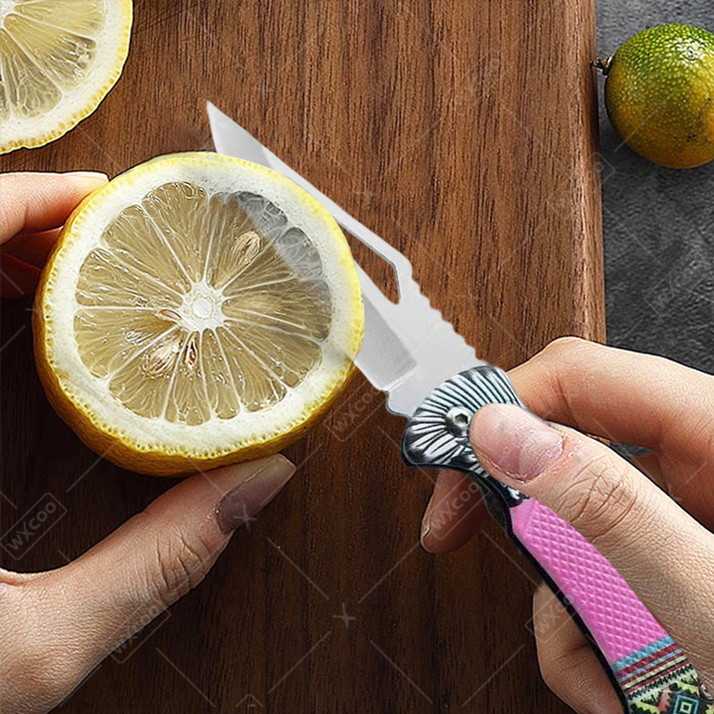 WXCOO Folding Knife Stainless  - огляд і ціна Gaming Kitchen Accessories