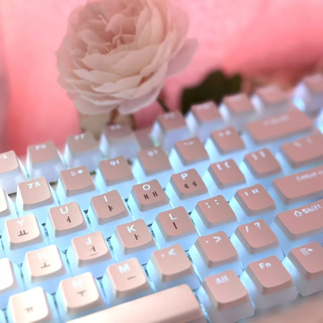 Hangul Keycap Korean Layout Ke - огляд і ціна Gaming Accessories Aesthetic